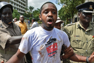 activist Boniface Mwangi